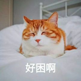 ❤禙虐❤主播照片