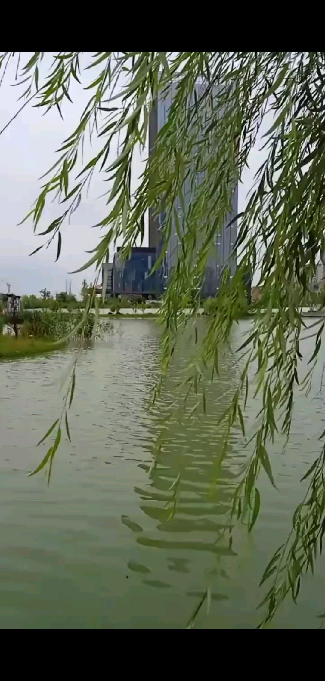 送上今天的美景/狂笑