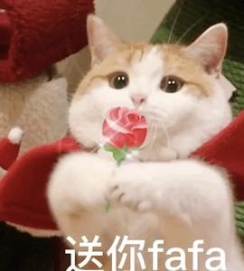跑调嘉💟主播照片
