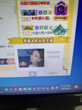 丹是苦菜花的图片