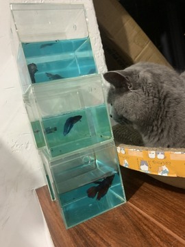 梓雯🎀主播照片