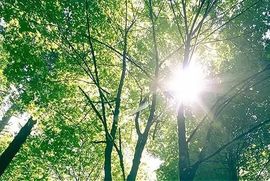 超持久“桑拿天”来了主播照片