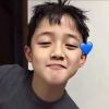 DJ版y