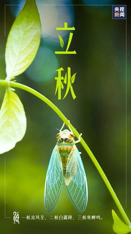超持久“桑拿天”来了主播照片