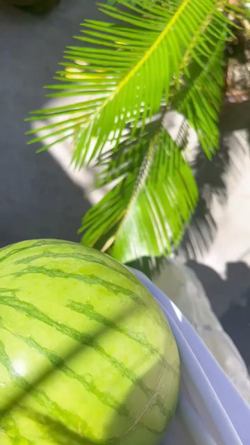 有吃好喝好哟/害羞