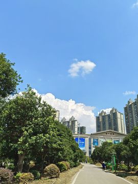 我馨吖🐾的图片
