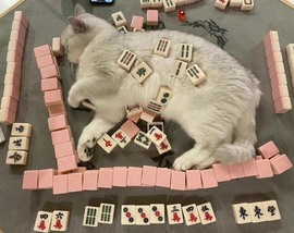 挽月＂🦩的图片