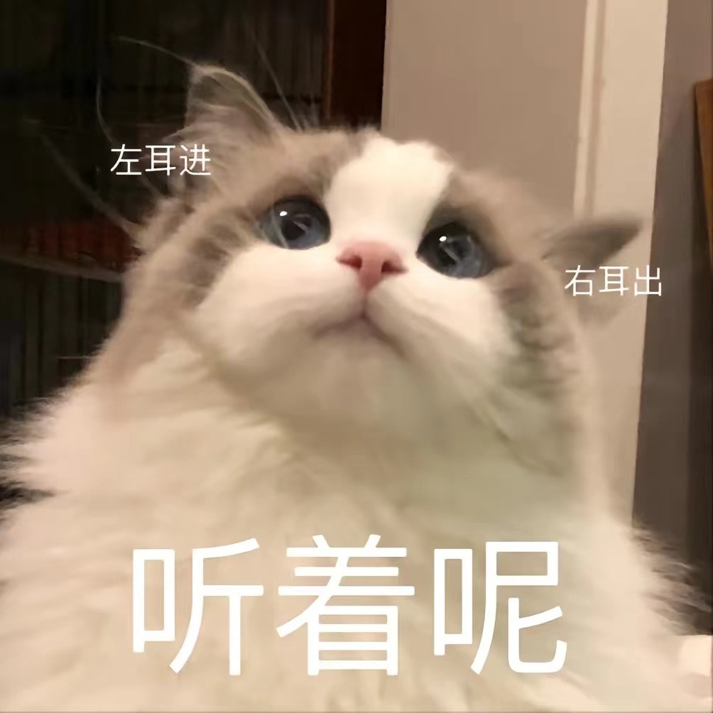猫咪🐱儿的图片