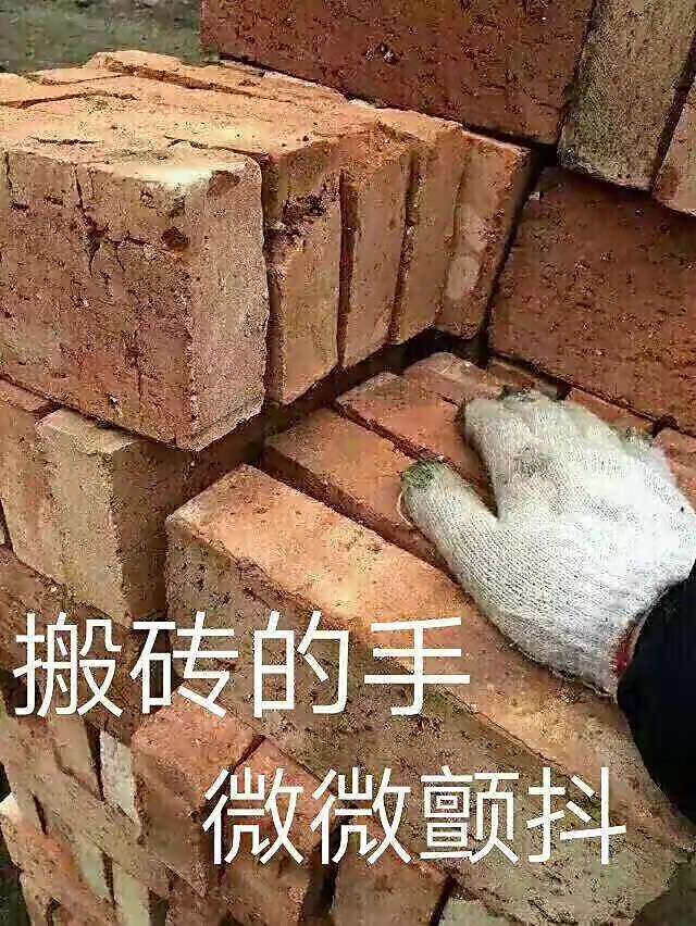 绿水无忧😘因风皱面的主播照片