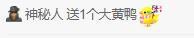 💓小香猪💓主播照片