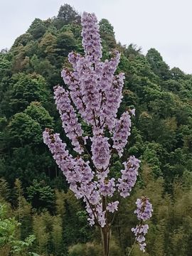 金生小哥哥主播照片