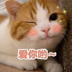 温暖宝宝💰想吃饱饱主播照片