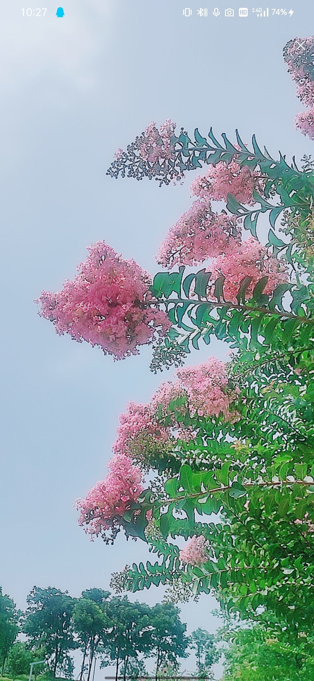 婷婷💕感恩有你陪伴的图片