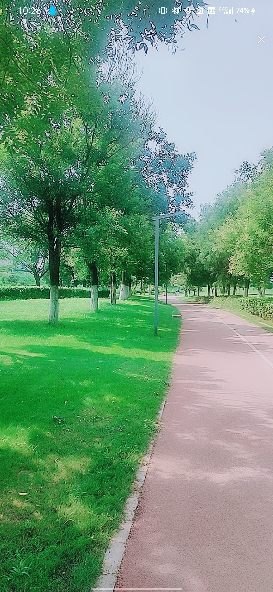婷婷💕感恩有你陪伴的图片