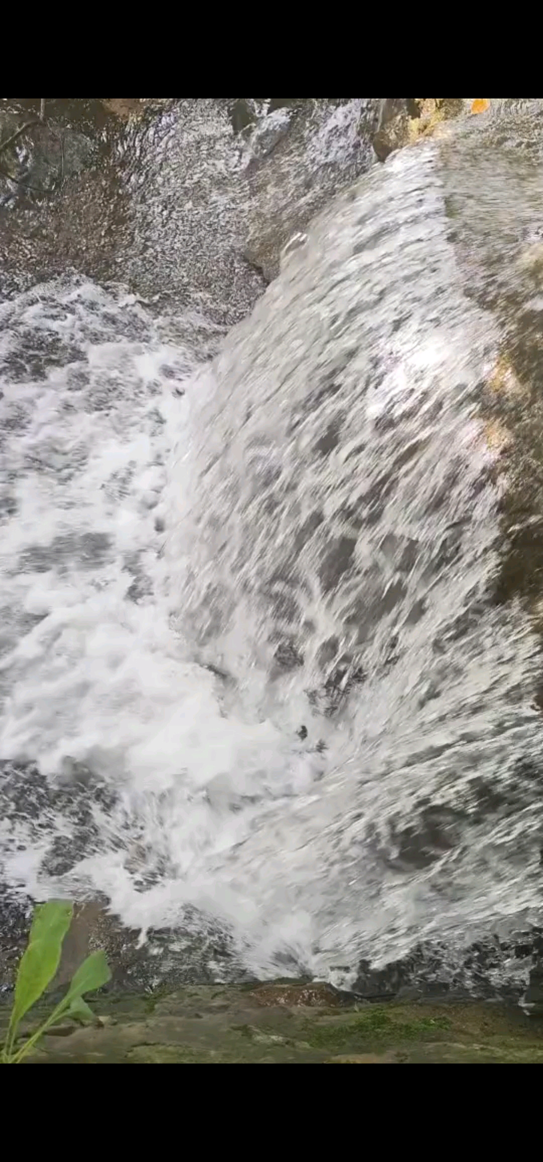 水恋之歌