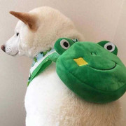 小姐姐管理