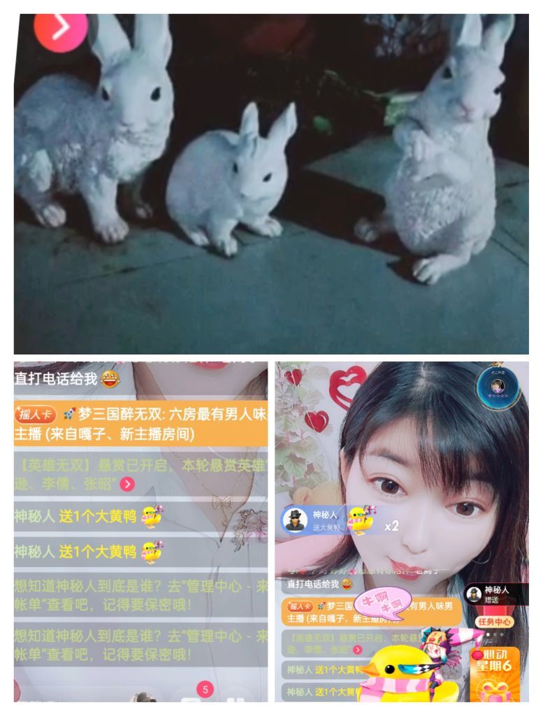 婷婷💕感恩有你陪伴的图片