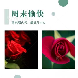 温暖宝宝💰想吃饱饱主播照片