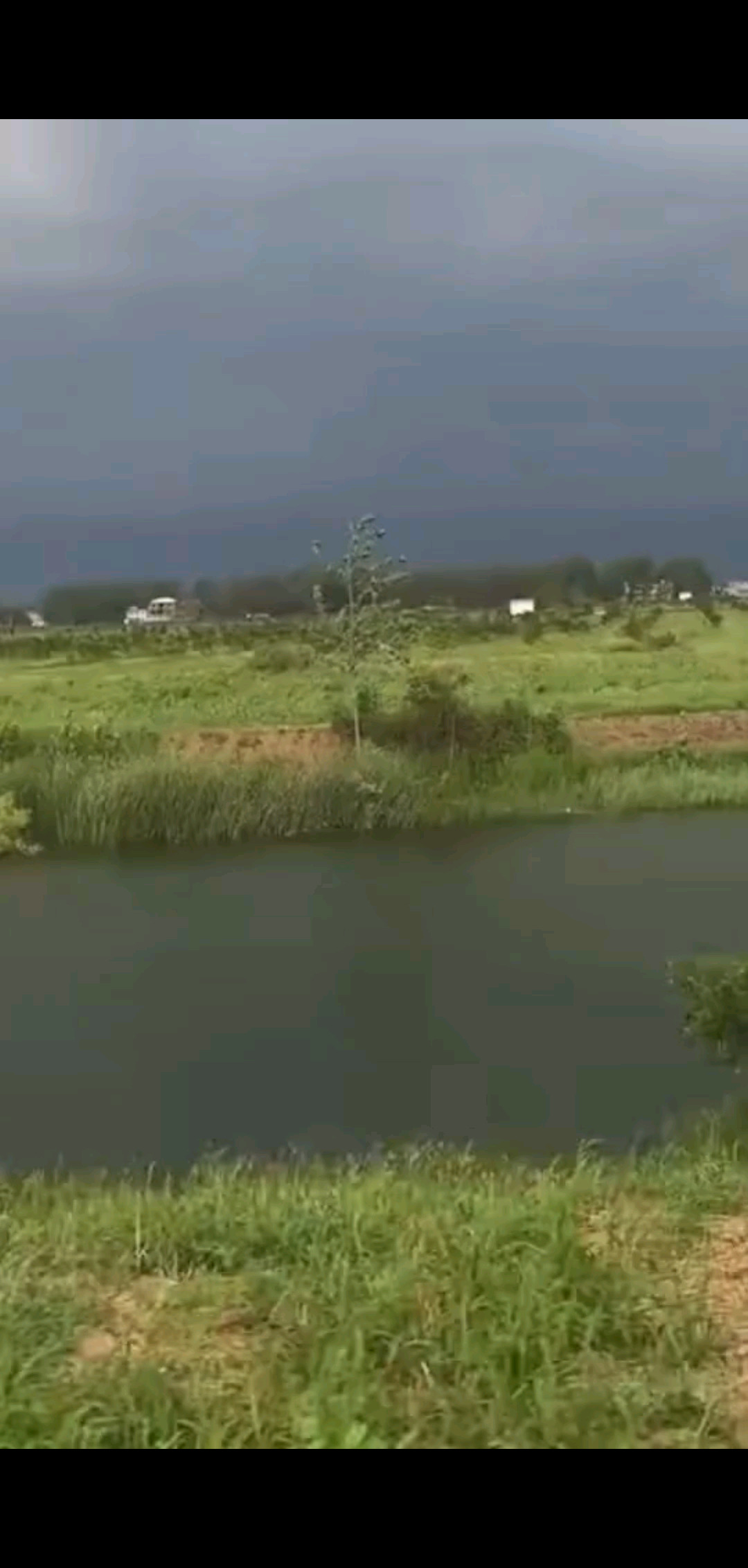 每一天的日出🌻都是新