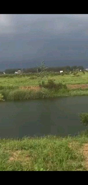 每一天的日出🌻都是新