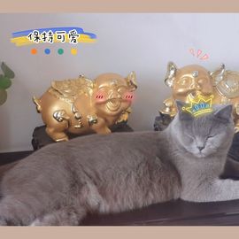 阳阳💕休主播照片