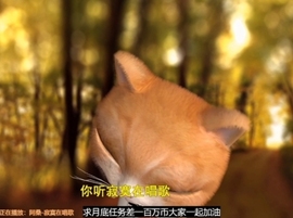 甜蜜未来乐在心怀主播照片