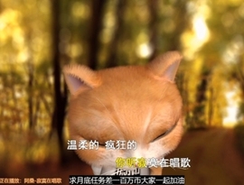 甜蜜未来乐在心怀主播照片