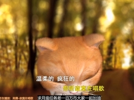 甜蜜未来乐在心怀主播照片