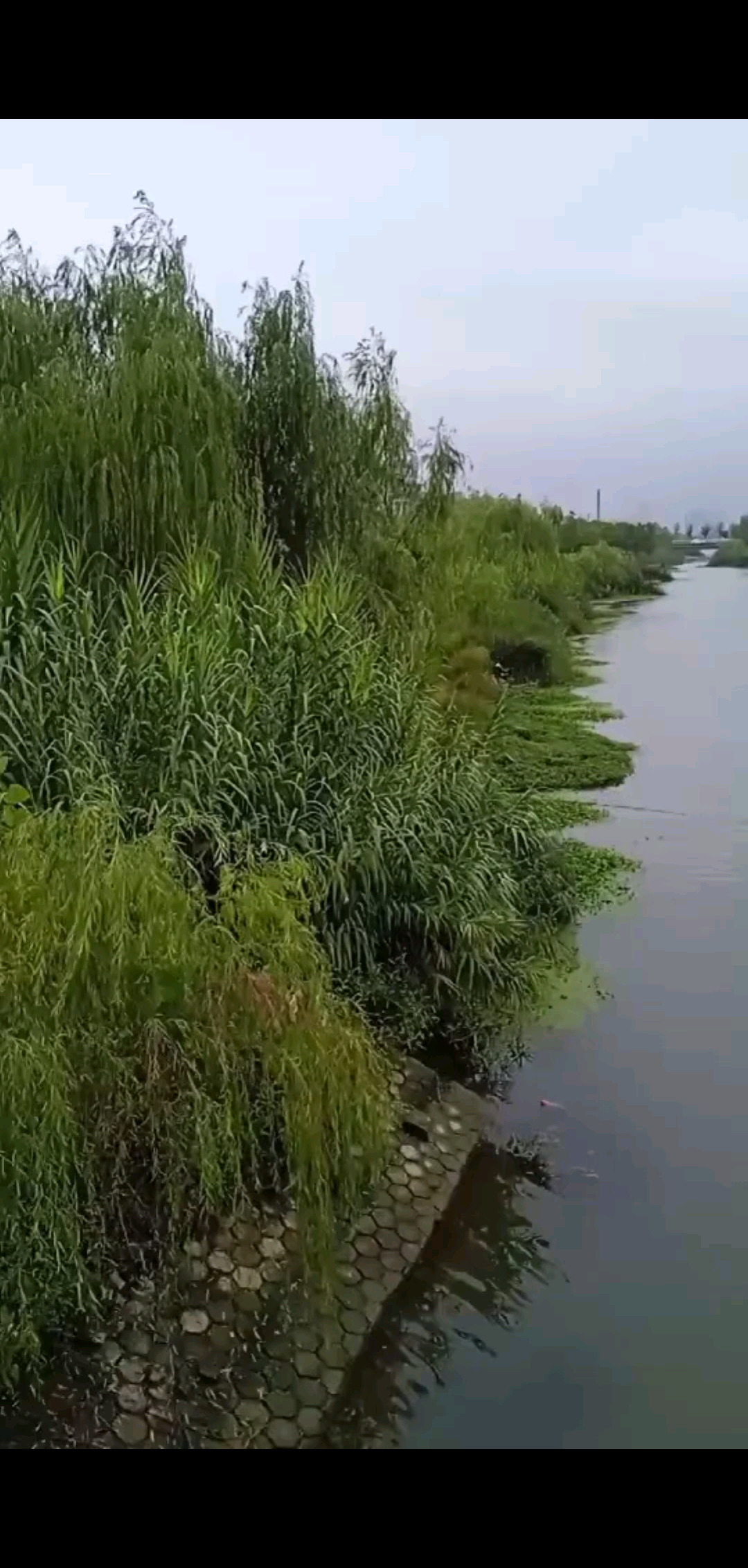 秋意浓，岁月柔🍀