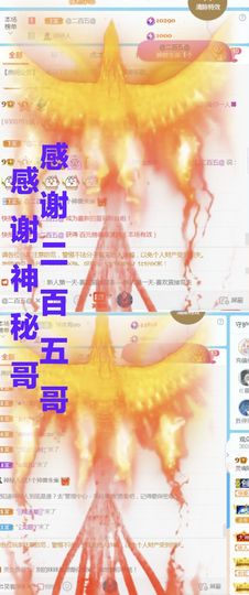 金麒麟安静唱歌🎤主播照片