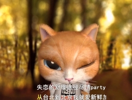 甜蜜未来乐在心怀主播照片