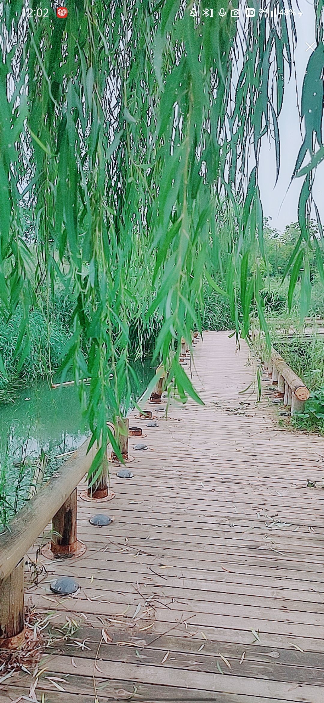 婷婷💕感恩有你陪伴的图片