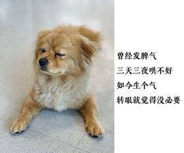 美妞ღ美美美！的图片