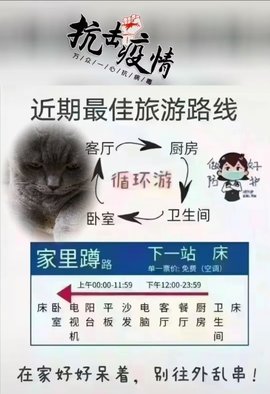 დ释怀დ主播照片
