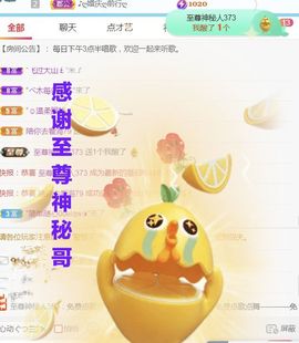 金麒麟安静唱歌🎤主播照片