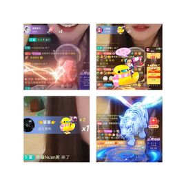 阳阳💕休主播照片