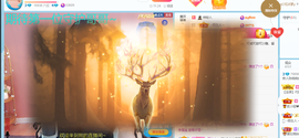 萌新仙人球~主播照片