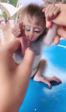 甜蜜未来乐在心怀主播照片
