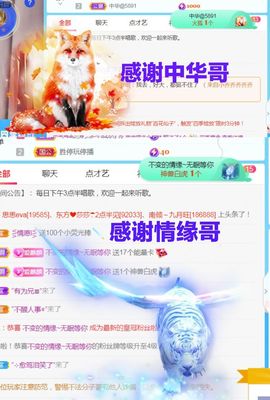 金麒麟安静唱歌🎤主播照片