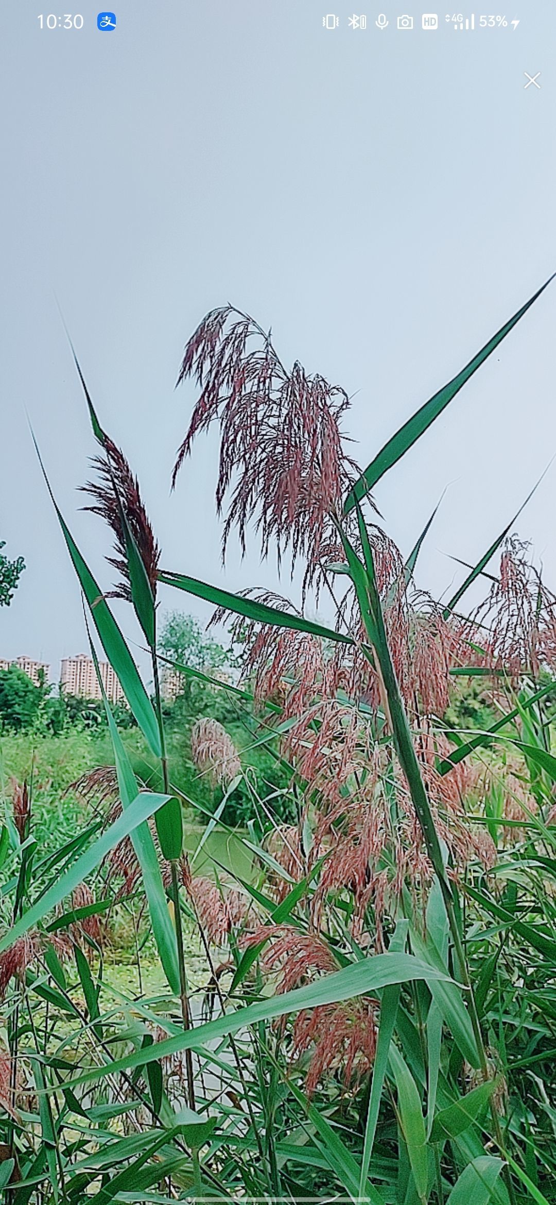 婷婷💕感恩有你陪伴的图片