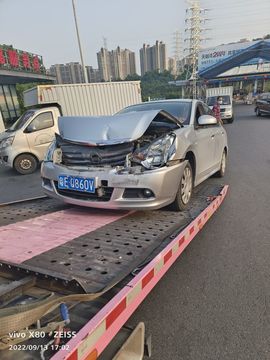 金鋼守護神主播照片