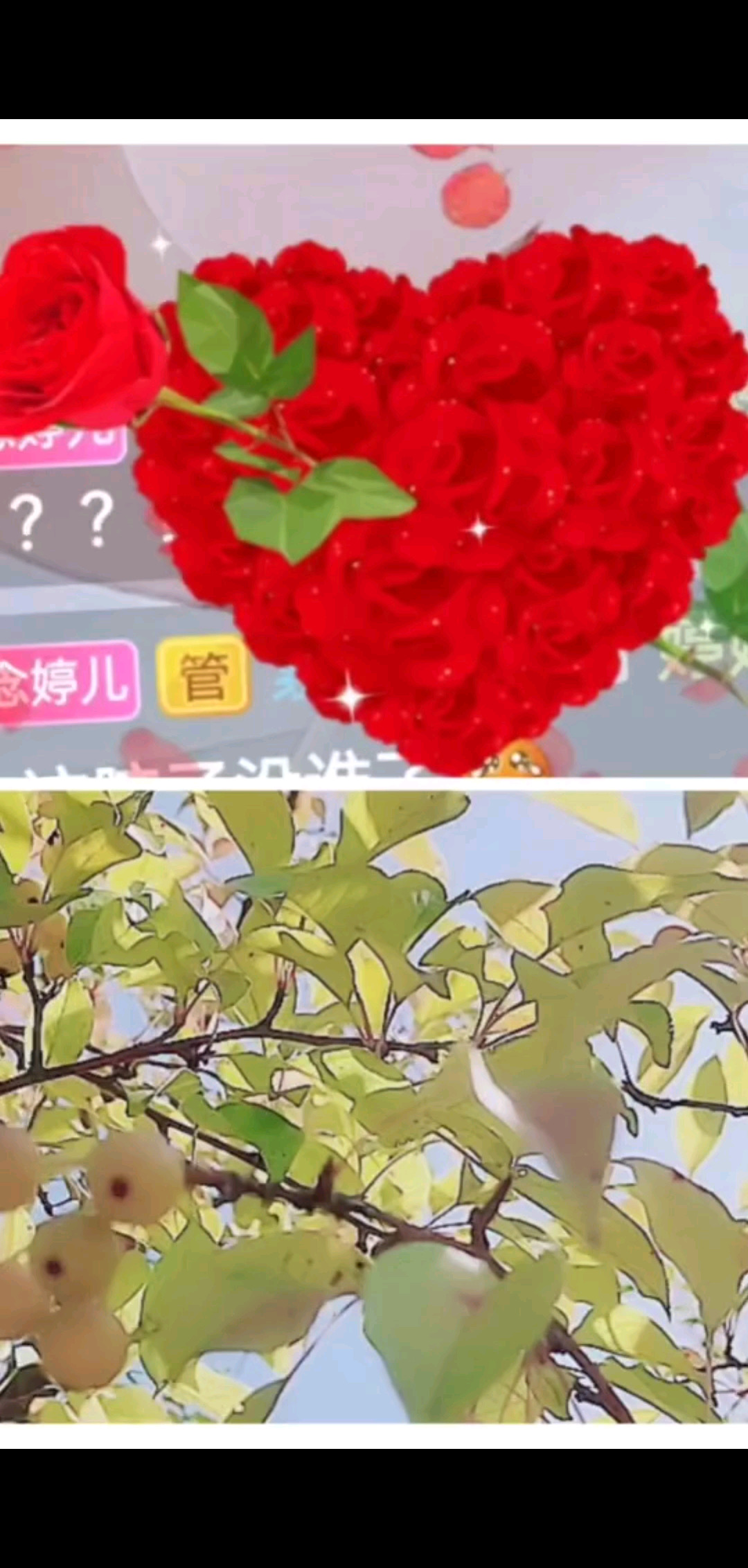 九月感恩有你/飞吻/