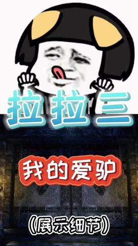 我的爱驴主播照片