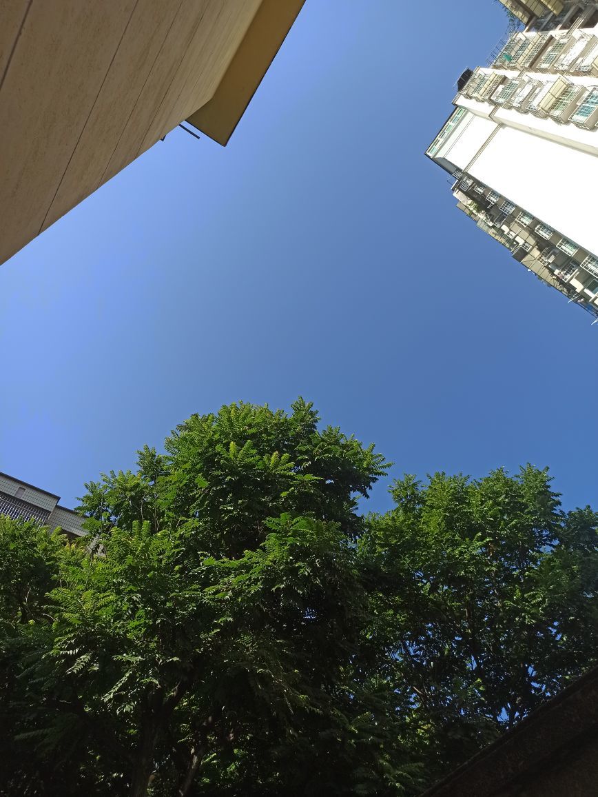 高音低音地沟通的图片