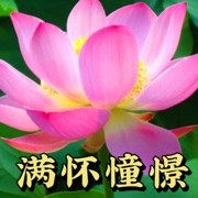 联想loveyour的头像