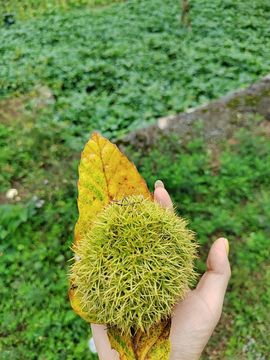 唔～飞机的图片