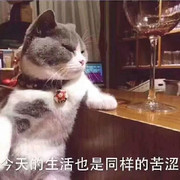 萌新宝宝2QgQdg