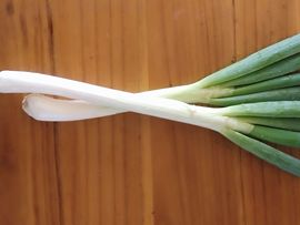 苗族曼尼多的图片