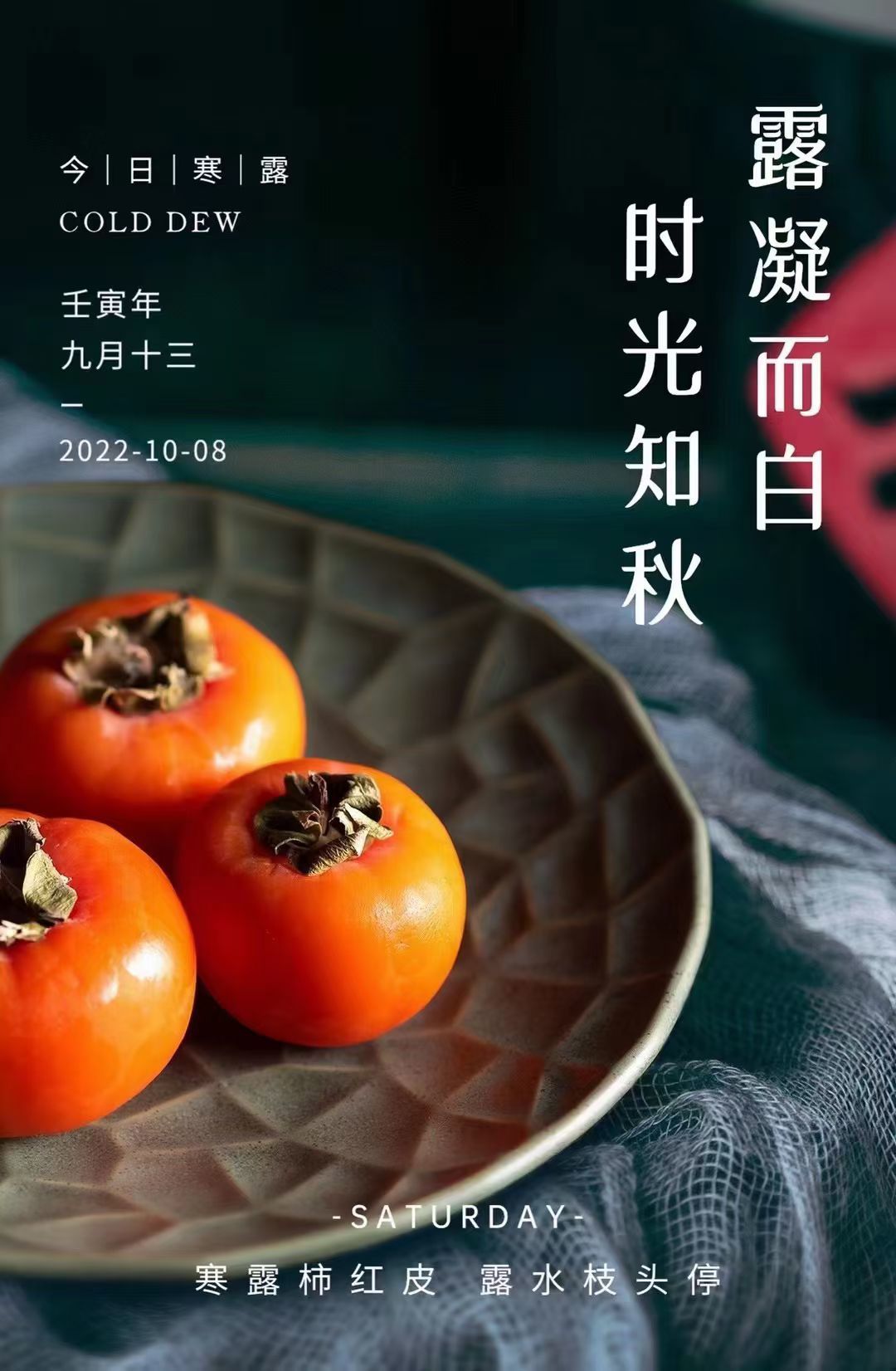 安琪同学的图片
