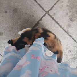 幼幼sama的图片